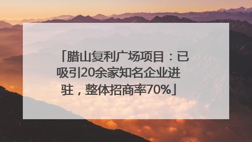 腊山复利广场项目：已吸引20余家知名企业进驻，整体招商率70%